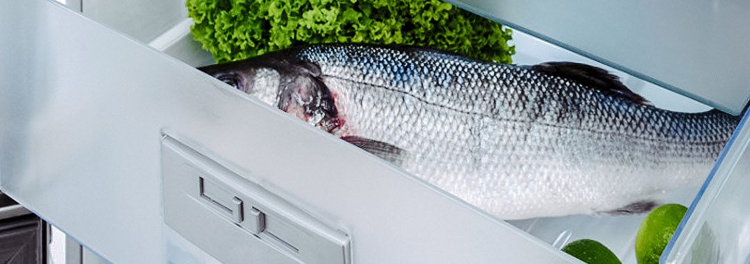 Как избавиться от запаха рыбы в холодильнике
