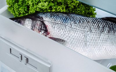 Как избавиться от запаха рыбы в холодильнике